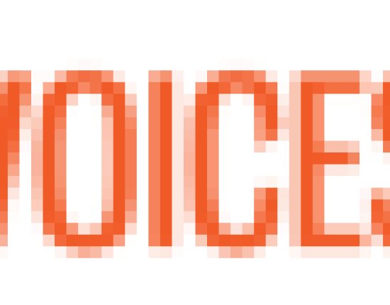 VOICES VOICES