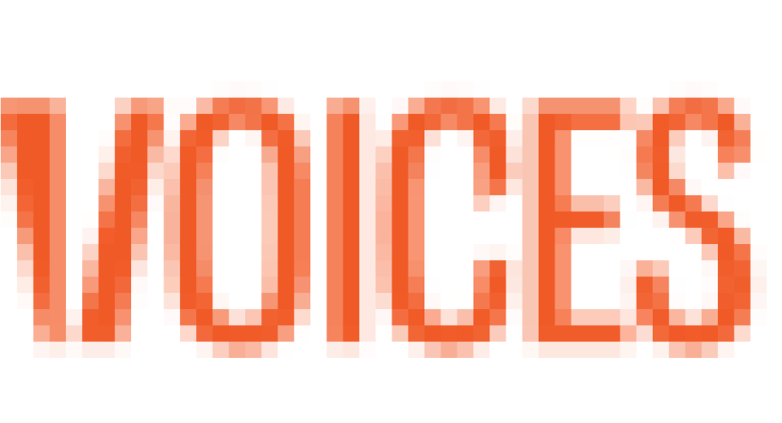 VOICES VOICES